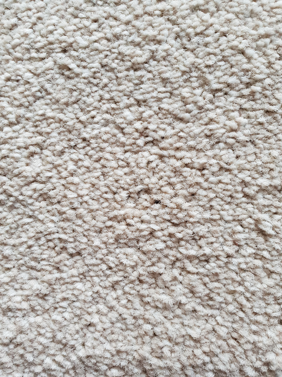 Belvedere Conque grey carpet