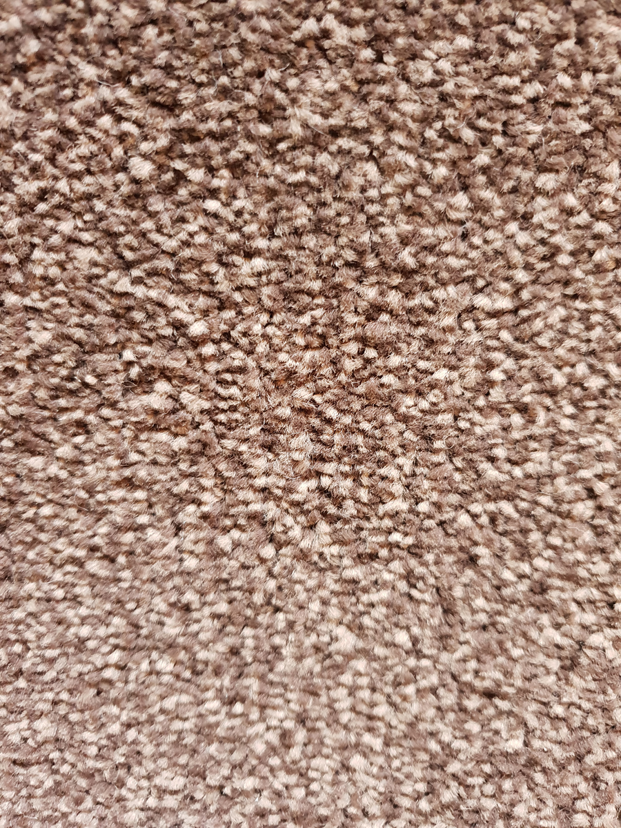 Belvedere brown carpet
