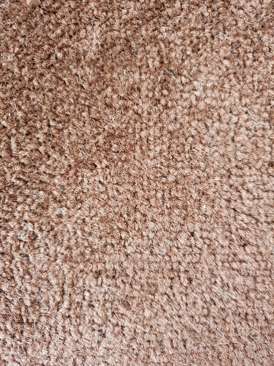 Kingston chocolate carpet