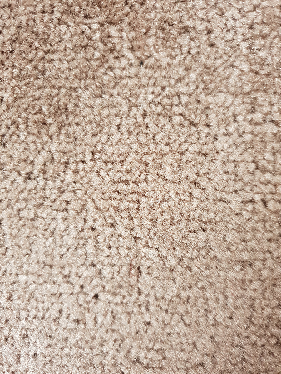 Kingston tan carpet