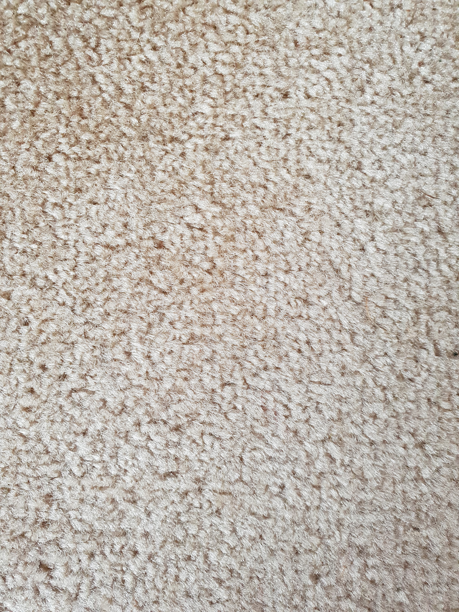 Suffolk light fawn carpet