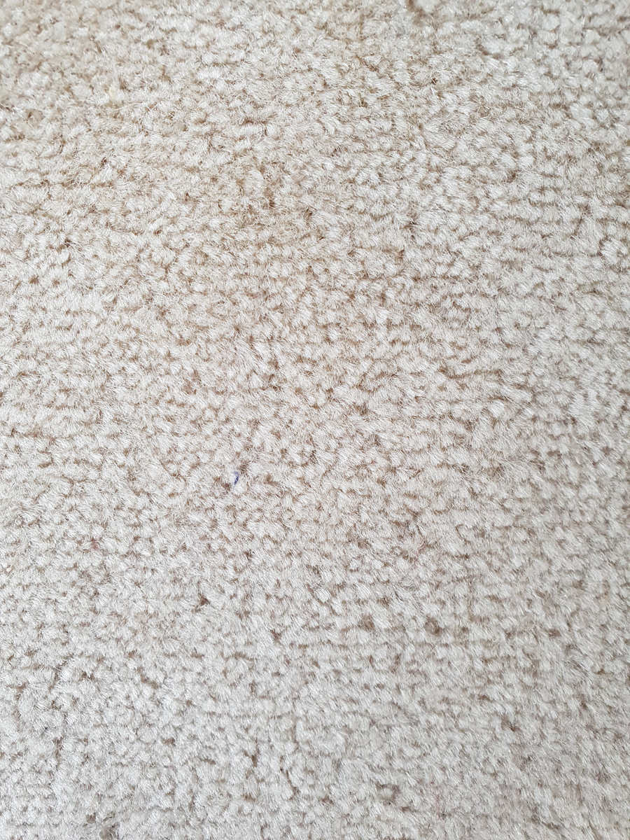 Kingston white cream carpet